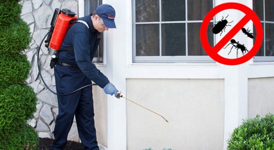 Eruh Karınca İlaçlama böcek ilaçlama ve haşere kontrolü — ilaclama-tr.com